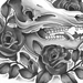 a Black and Grey Pig Skull with Roses around it. 